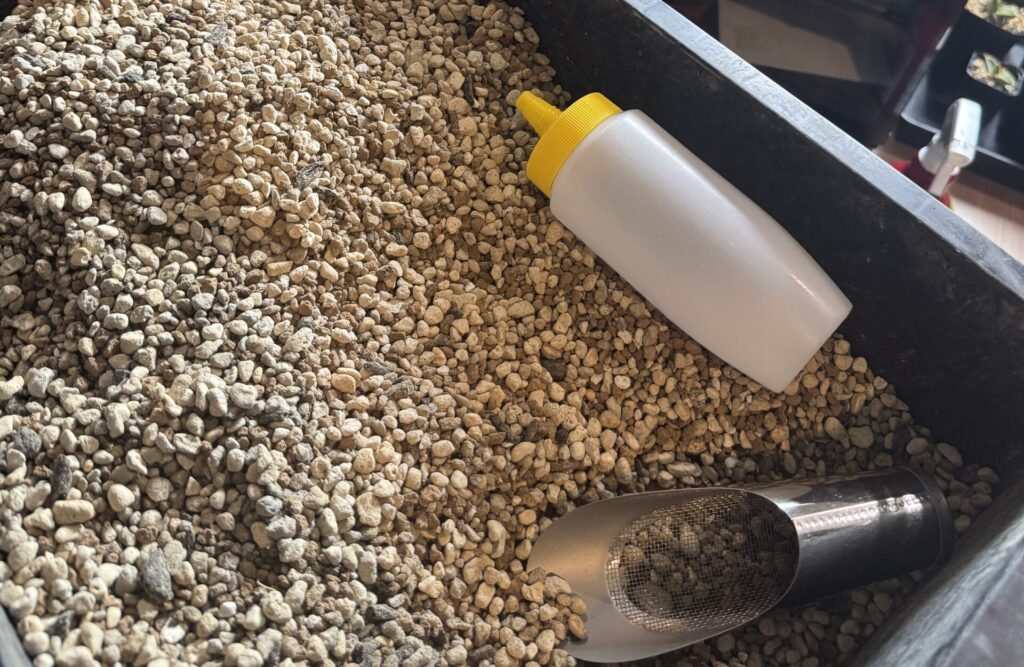 セドリックプランツのオテロイ用の用土配合