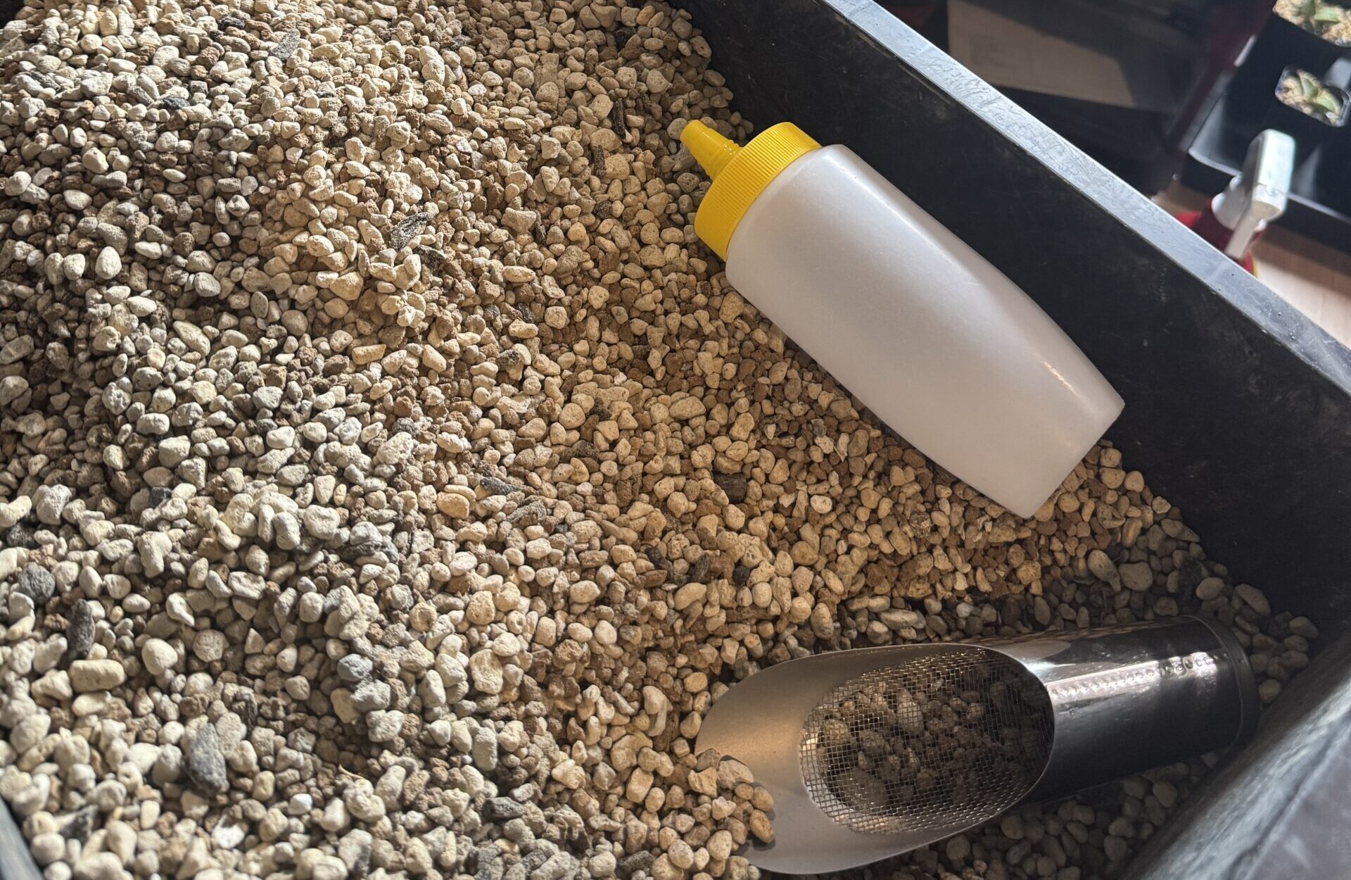 セドリックプランツのオテロイ用の用土配合