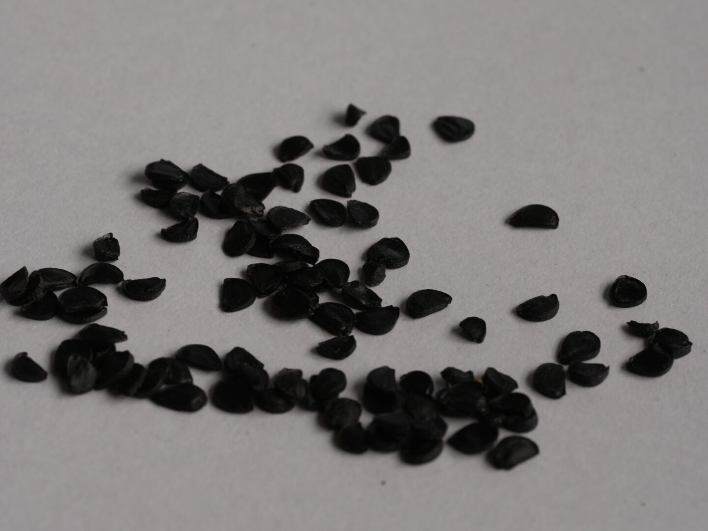 あなたが現在見ているのは アガベ・オテロイの実生とは