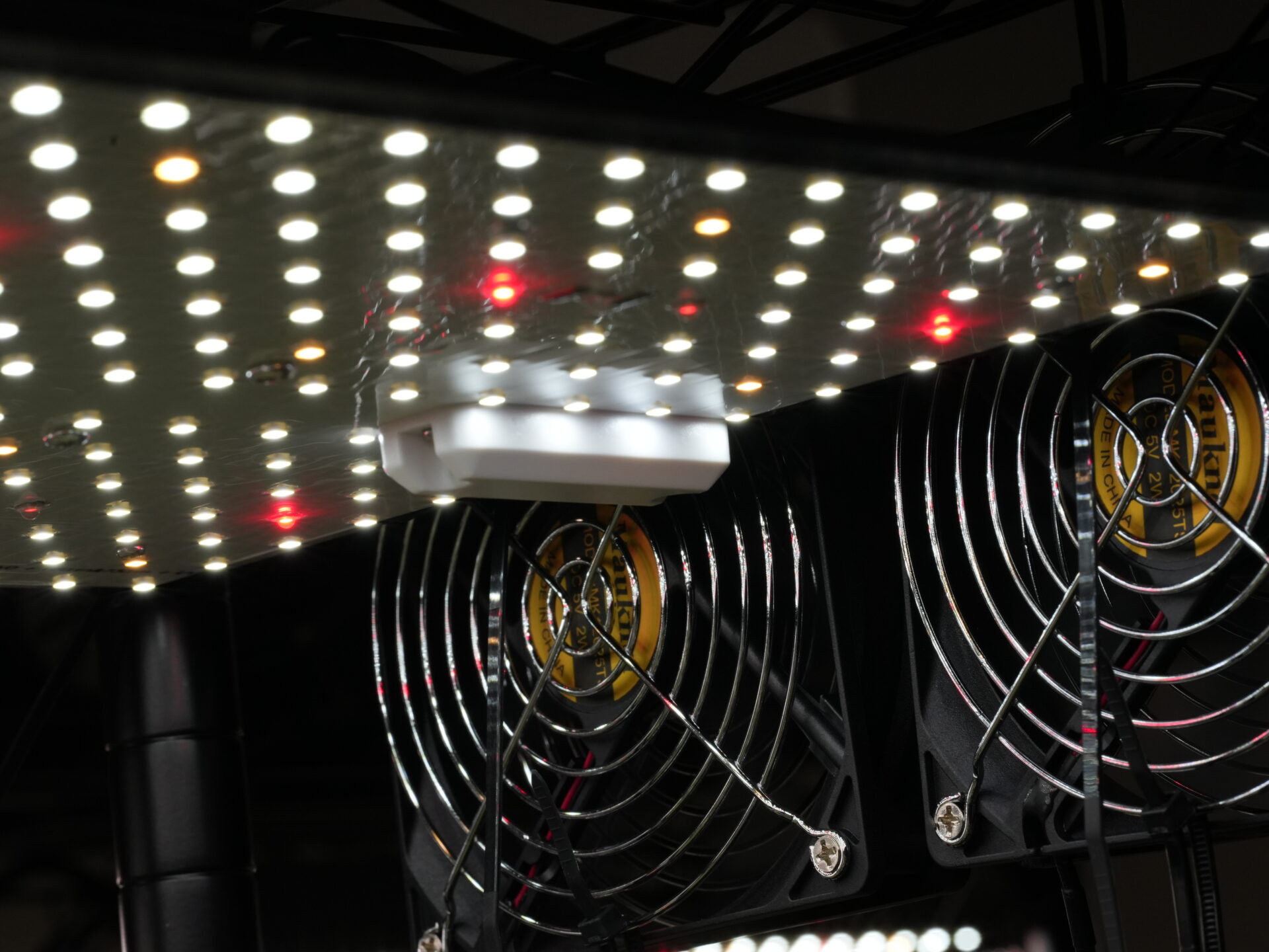 発根管理に光と風は必要？