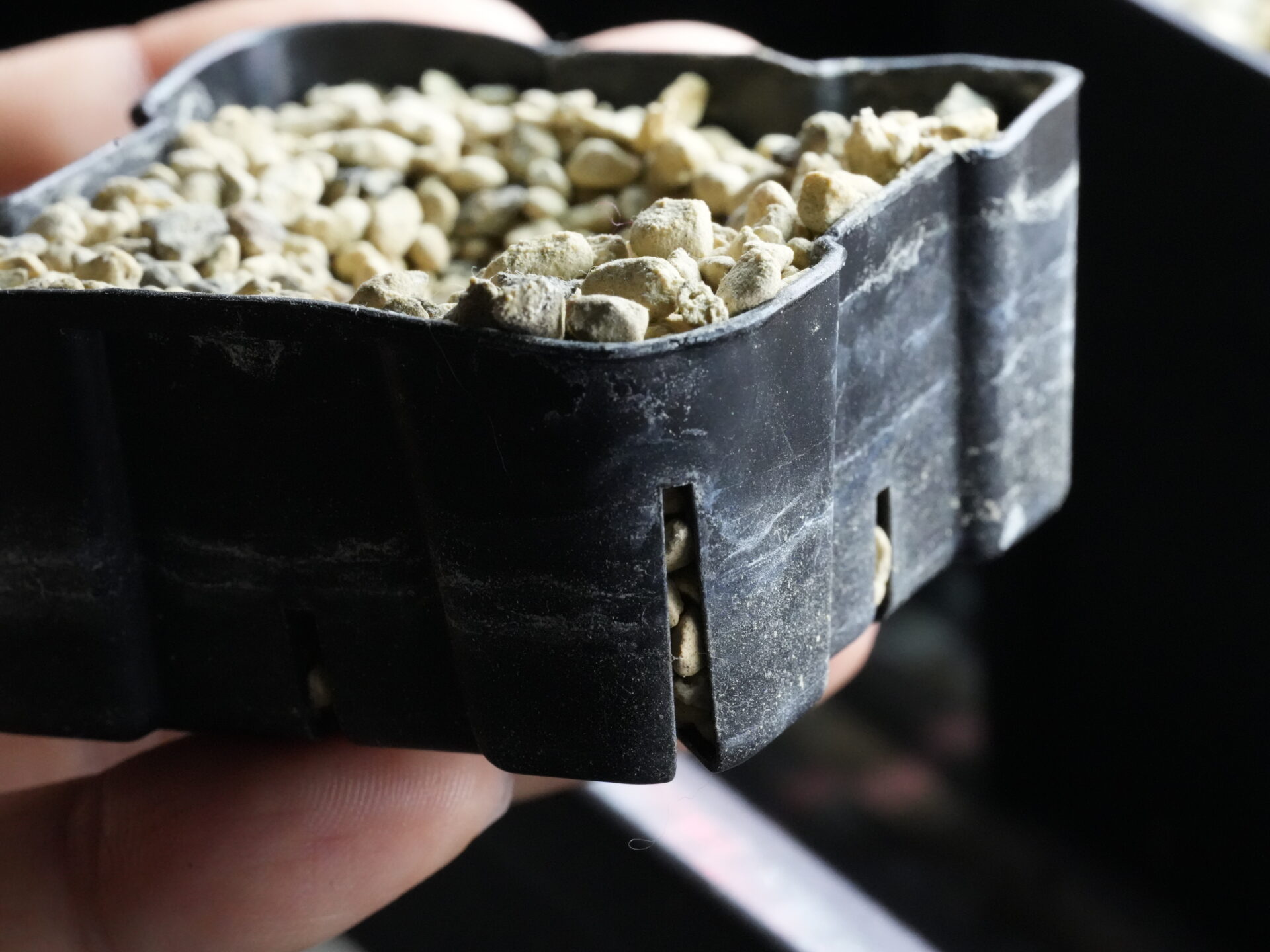 不要な鉢をカットして再利用