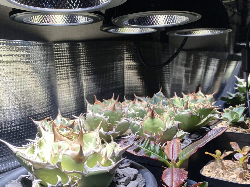 植物育成ライト 電球タイプ