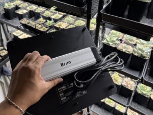 投稿についてもっと詳しく アガベ・オテロイ「植物育成ライトのおすすめ！」