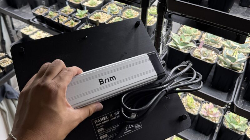 植物育成ライトのおすすめ（パネルタイプ） BRIM(ブリム) PANEL X 植物育成ライト LED パネル