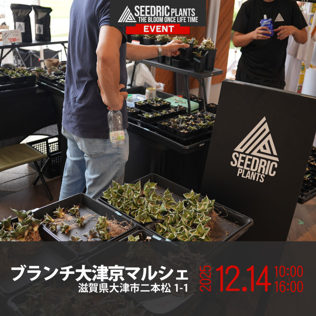 ブランチ大津京マルシェ(12月14日10時～16時)