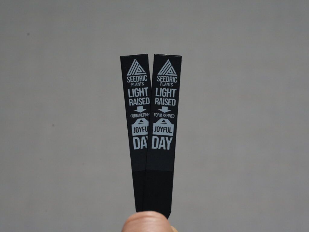 プランツタグ 2025年3月 アガベ オテロイ実生