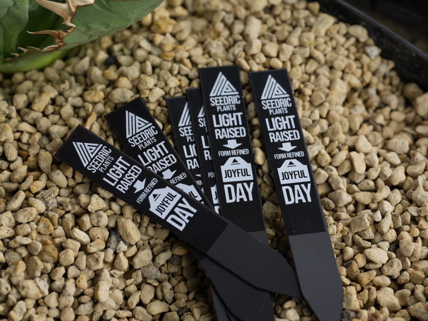 投稿についてもっと詳しく 【2025年3月限定】Instagram限定プランツタグプレゼント