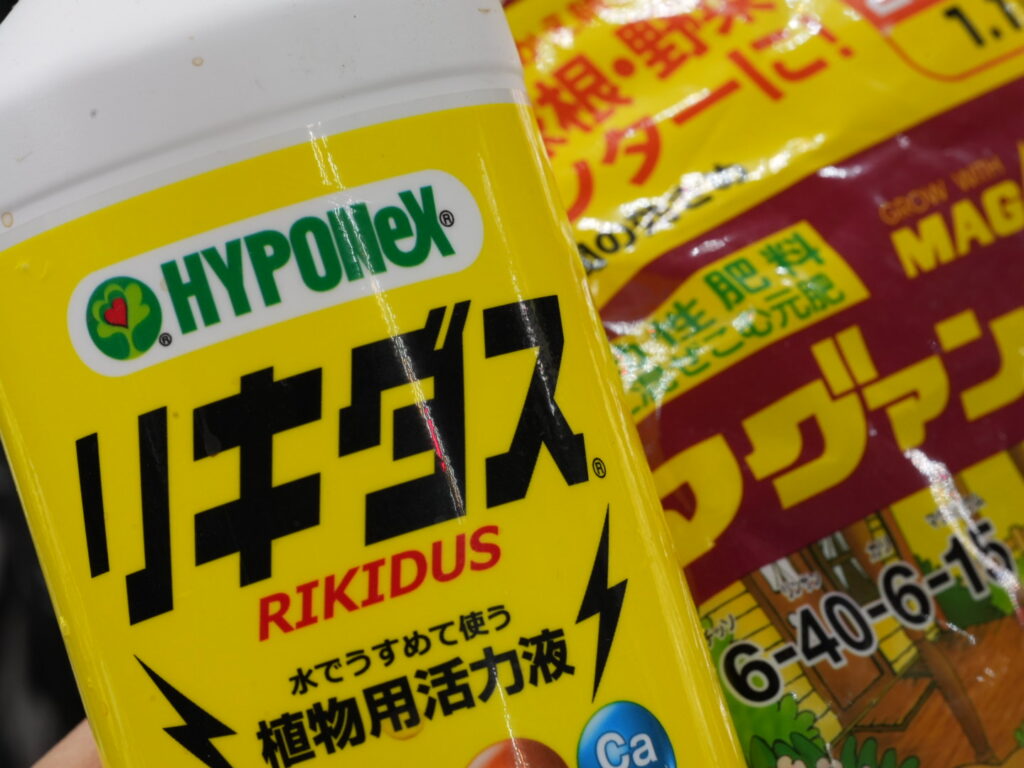 アガベの肥料と液肥、活力剤