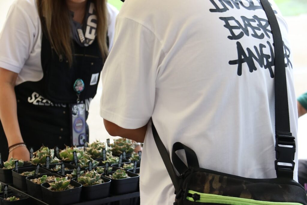 セドリックプランツのアガベ イベント出店