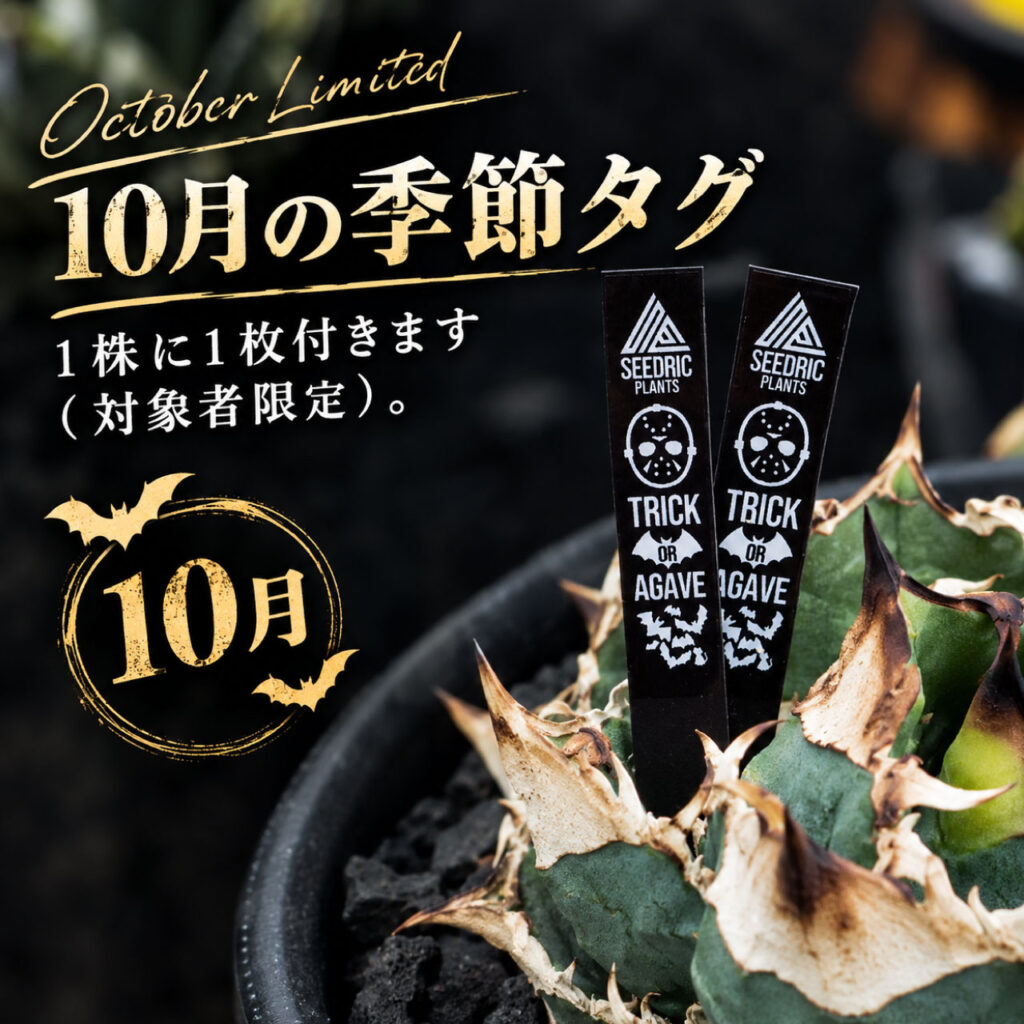 10月の季節プランツタグ
