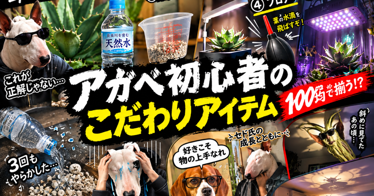 植物育成LEDライトを初めて設置した結果