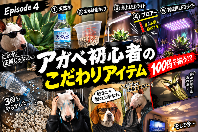 植物育成LEDライトを初めて設置した結果