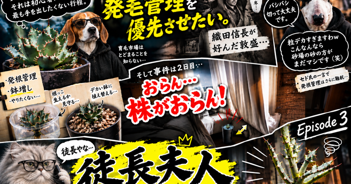 アガベの発根管理を初心者がやってみた