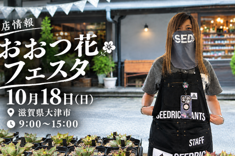 出店情報 おおつ花フェスタ 10月18日 (滋賀県大津市) 9:00〜15:00