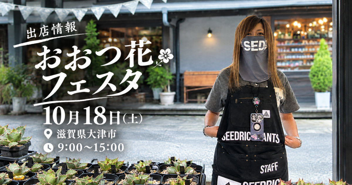 出店情報 おおつ花フェスタ 10月18日 (滋賀県大津市) 9:00〜15:00