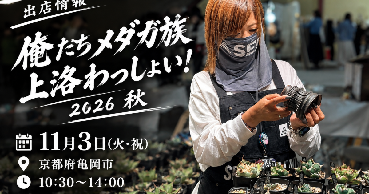出店情報 俺たちメダカ族上洛わっしょい！2026 秋 (京都府亀岡市) 11月3日(火・祝) 10:30〜14:00