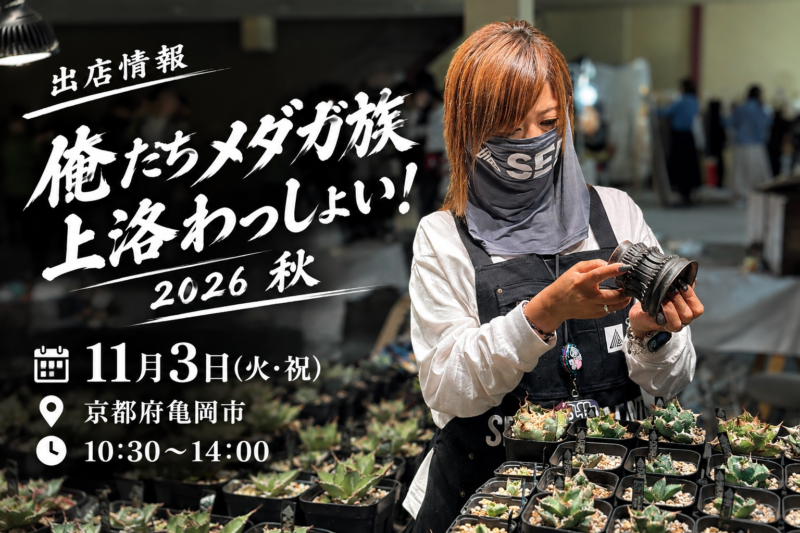 出店情報 俺たちメダカ族上洛わっしょい！2026 秋 (京都府亀岡市) 11月3日(火・祝) 10:30〜14:00