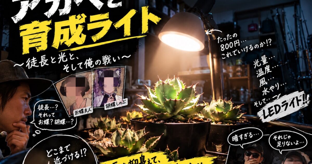 アガベと育成LEDライト