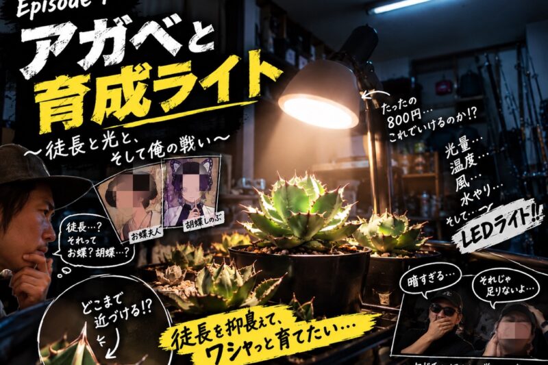 アガベと育成LEDライト